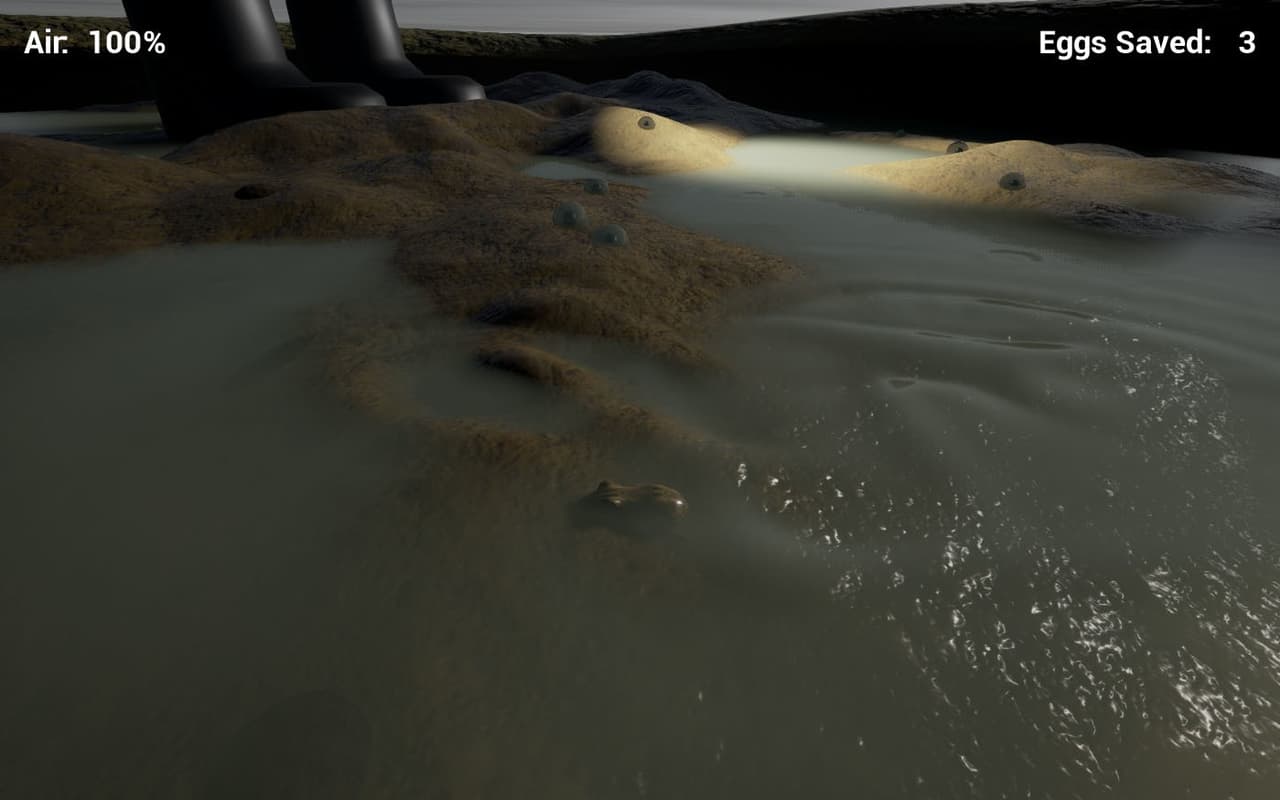 Frogs in a Bog screenshot 2