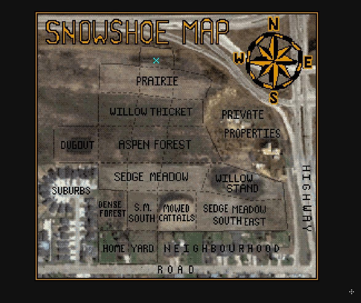 Snowshoe Adventure screenshot 2