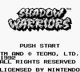 Ninja Gaiden Shadow screenshot 4