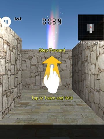 3D Maze Level 100 screenshot 2