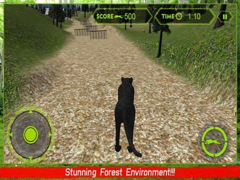 Wild Black Panther Attack Simulator 3D – Hunt the Zebra, Deer & Other Animal in Wildlife Safari screenshot 5