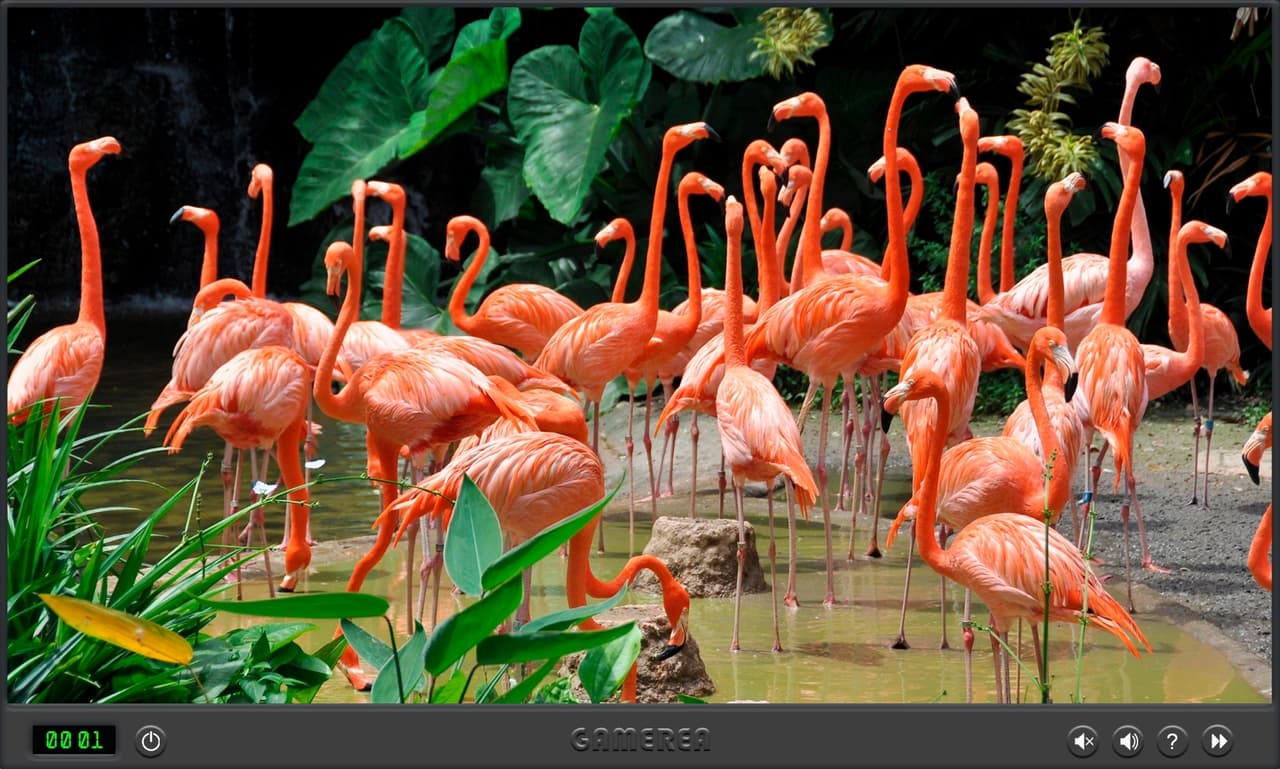 Animals Of The World screenshot 3