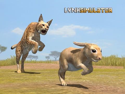 Lynx Survival Simulator screenshot 4
