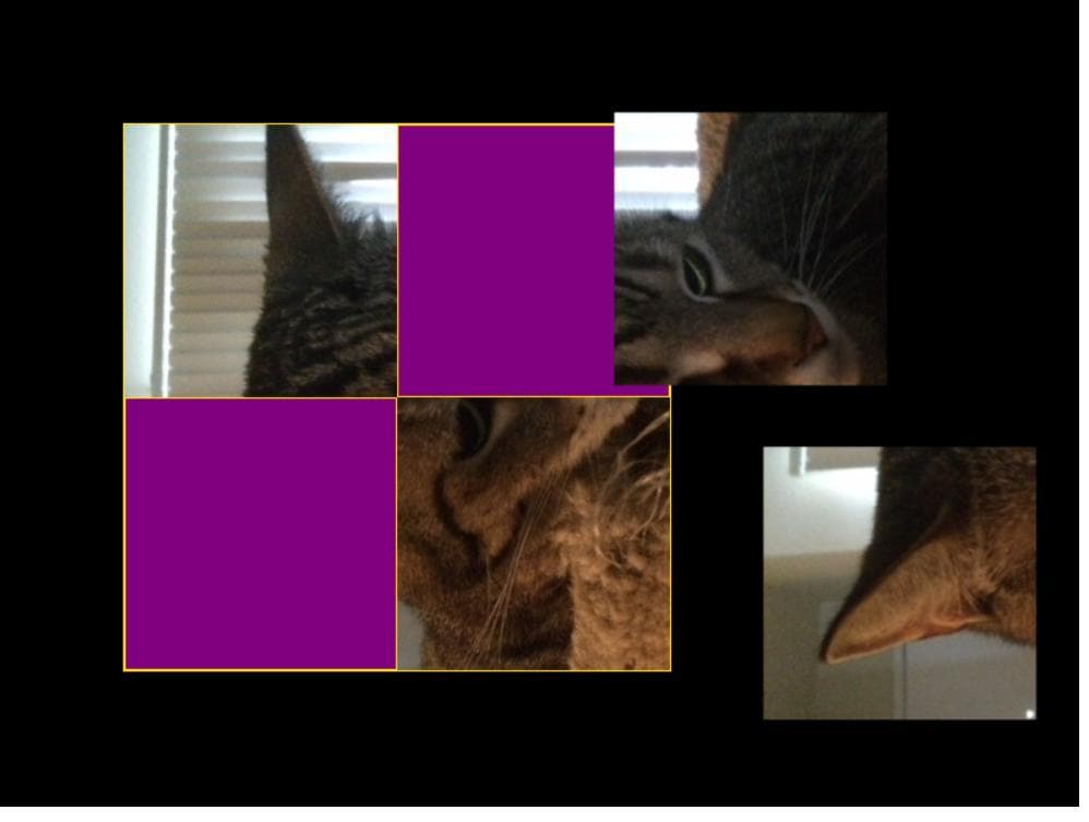 Cat Plates