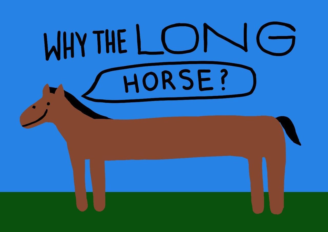 Why the Long Horse?