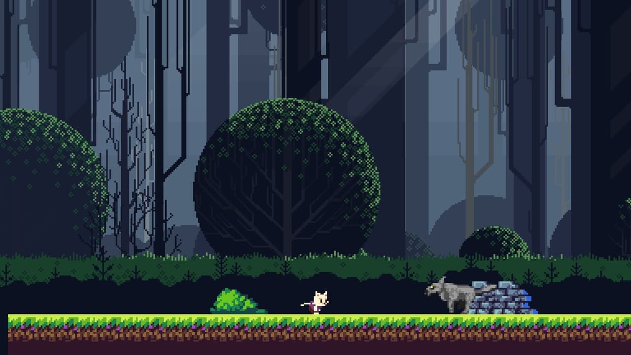 CATRUN screenshot 3