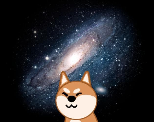 PET DOG (SlickSandwich)