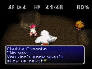Chocobos Dungeon 2