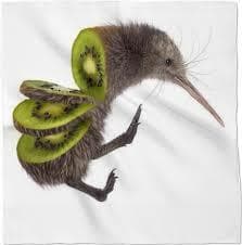 KiwiTheBird (THE BEST GAME EVER)