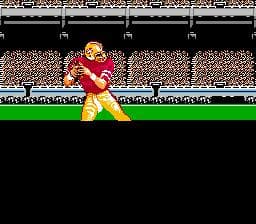 Tecmo Super Bowl screenshot 3