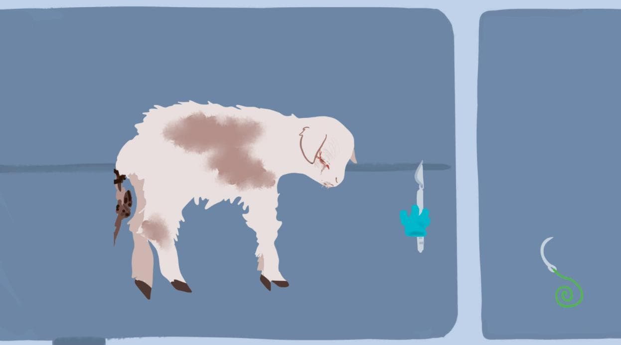 Veterinarian Story screenshot 3