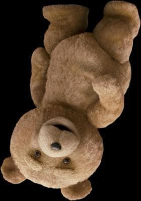 Metro needs his bear to sleep at night
