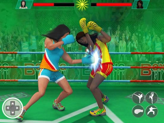 Ninja Punch Boxing