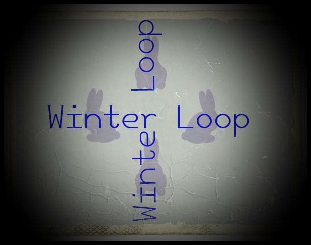 Winter Loop