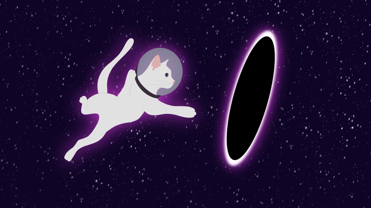 Space Cat Adventure Platform Game