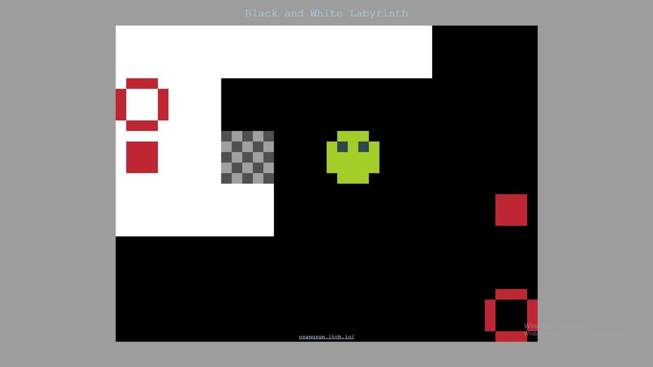 Black and White Labyrinth