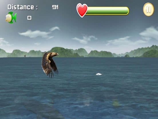 Eagle Fish Hunting