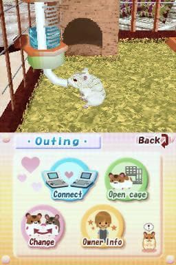 Hamsterz Life screenshot 4