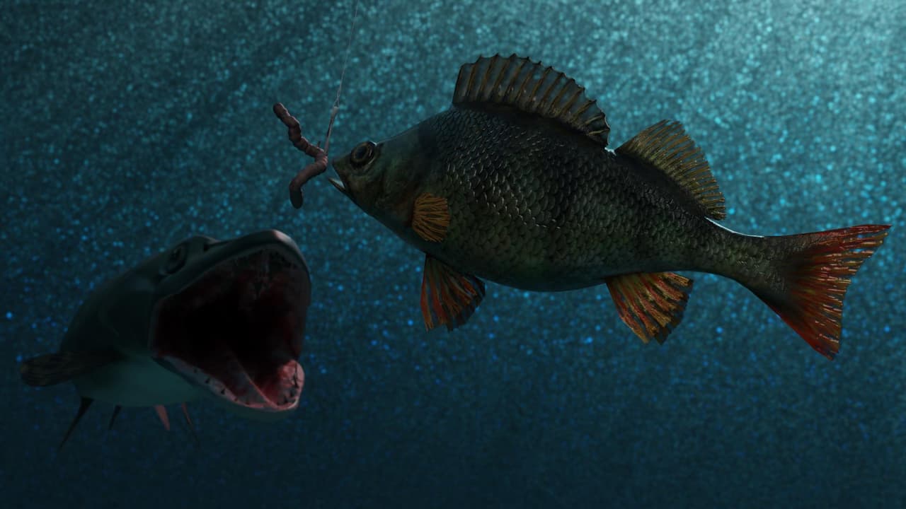 Somethings Fishy (Paulc)