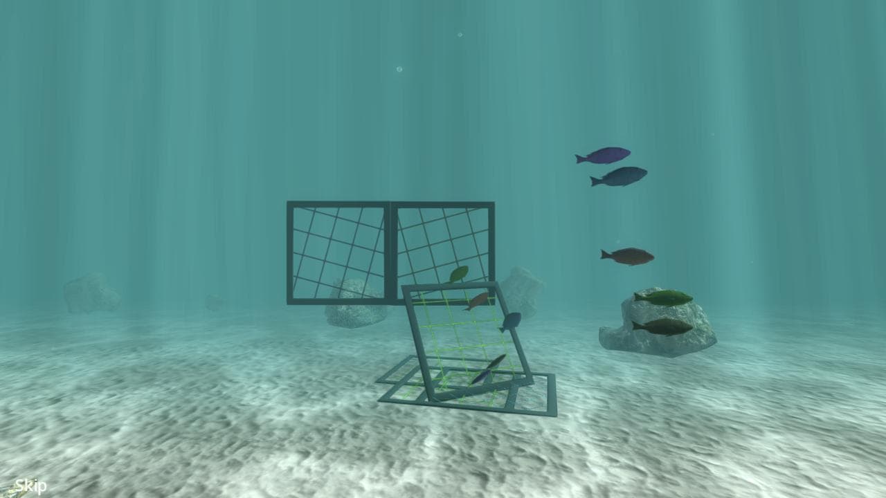 Triggerfish Drill Sergeant