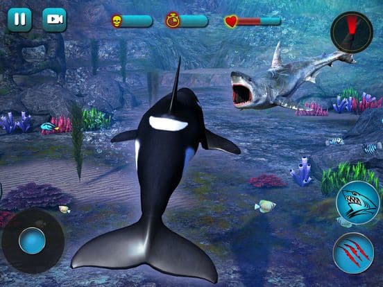 Killer Whale Beach Attack 3D screenshot 4