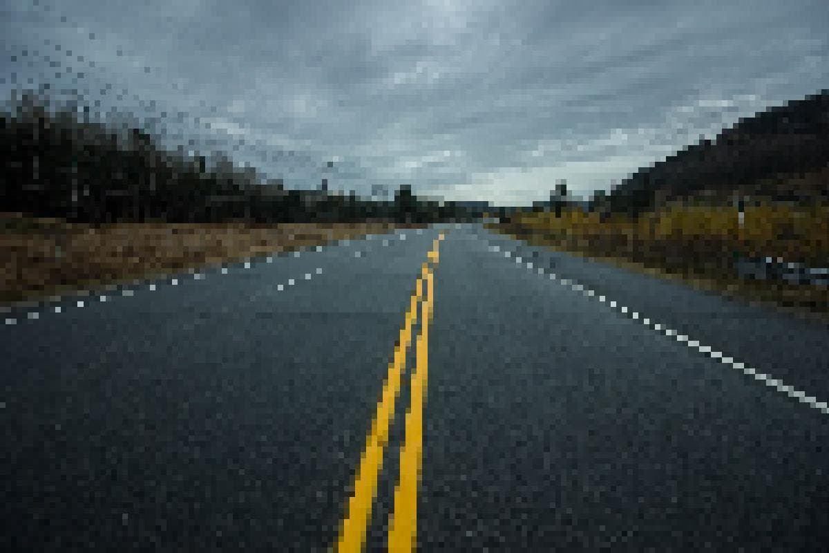The Road (j02)