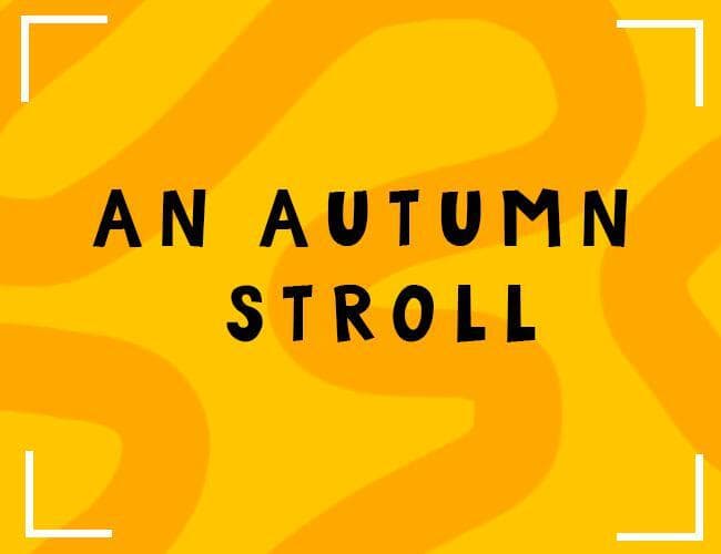 An Autumn Stroll