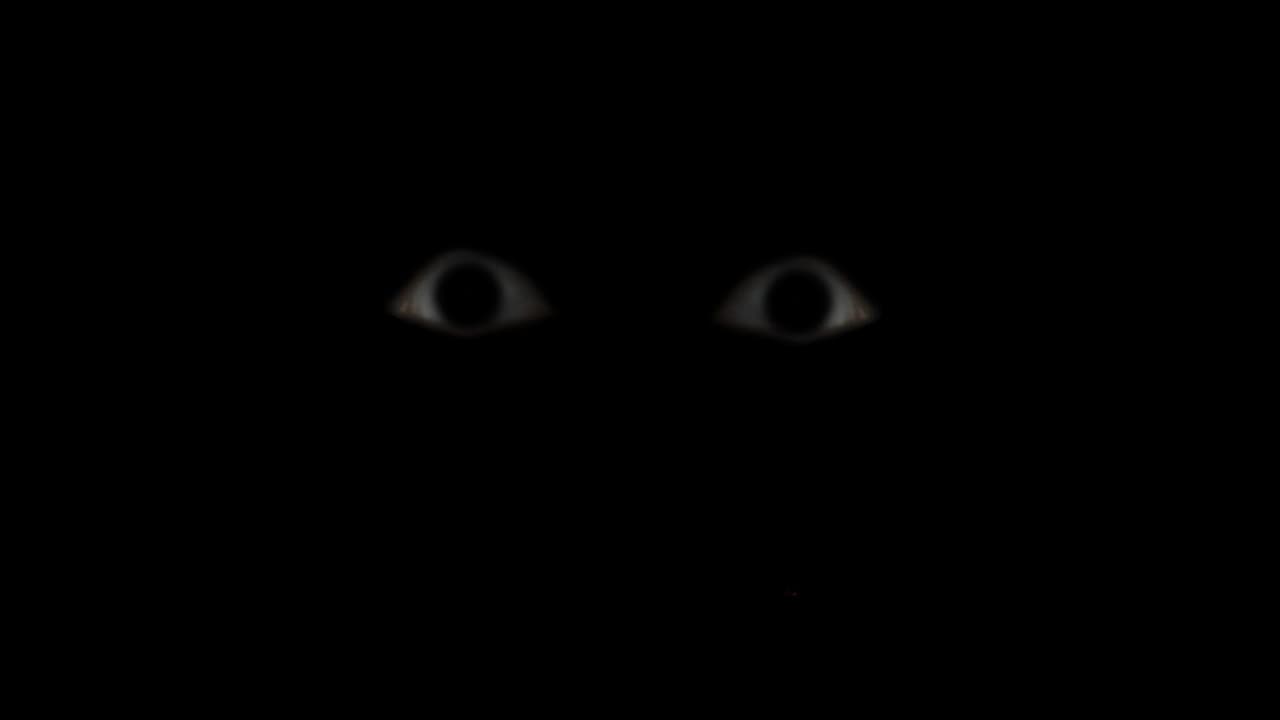 The follower (nICOLEdev) screenshot 2