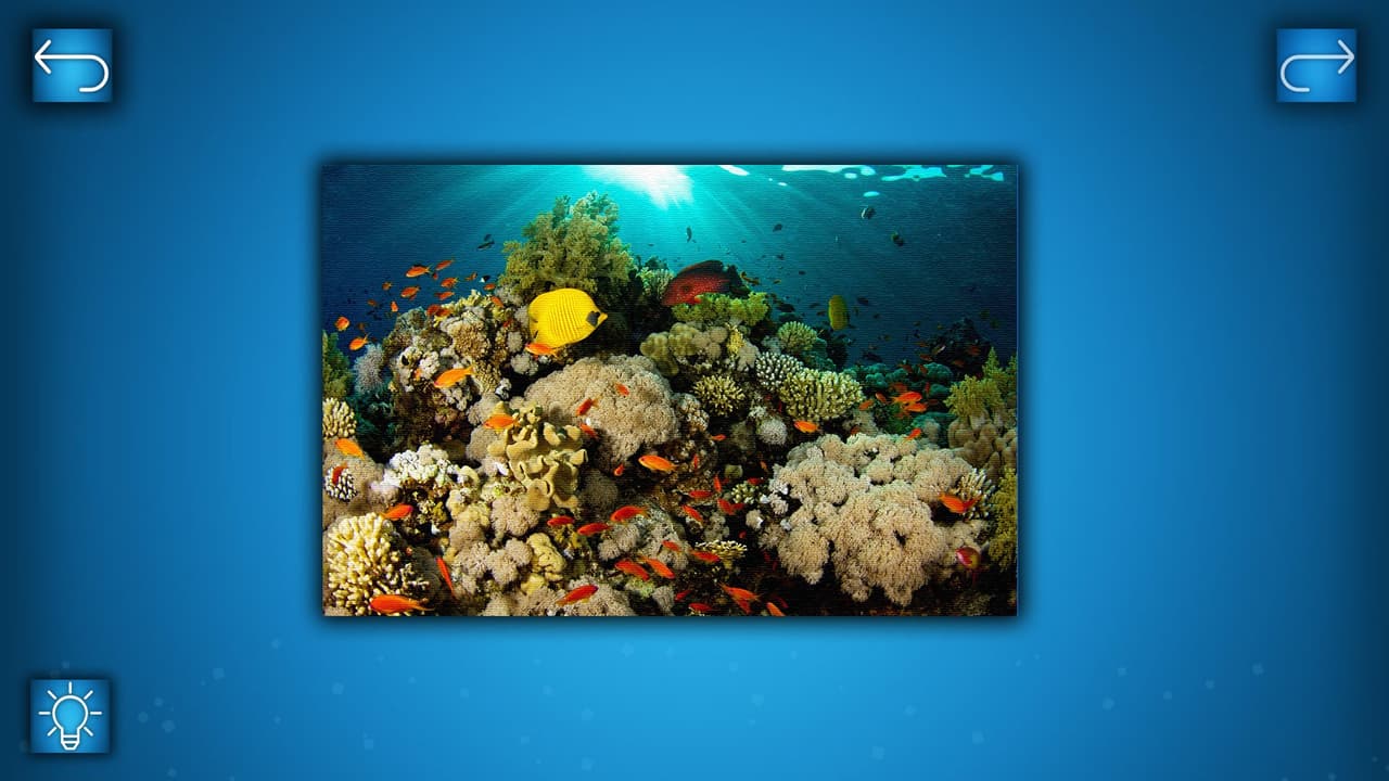 PUZZLE: OCEAN screenshot 2