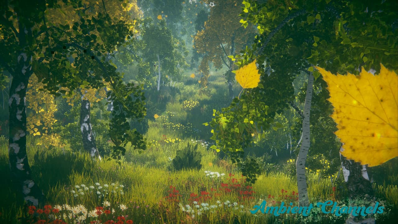 Ambient Channels screenshot 4