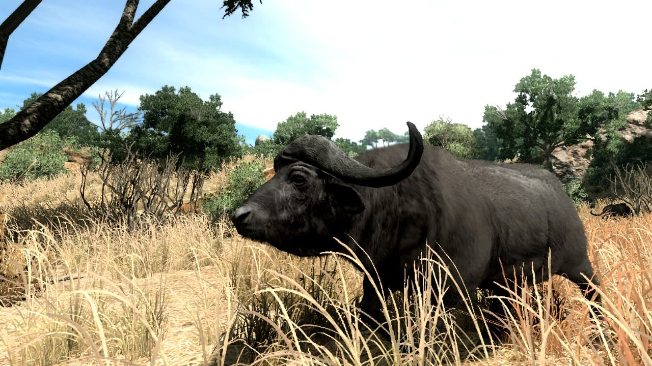 Cabelas Big Game Hunter 2010 screenshot 5