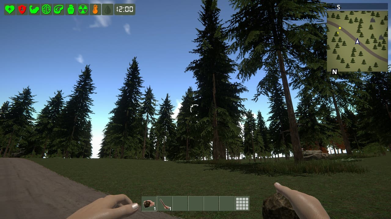 The Survivor screenshot 2