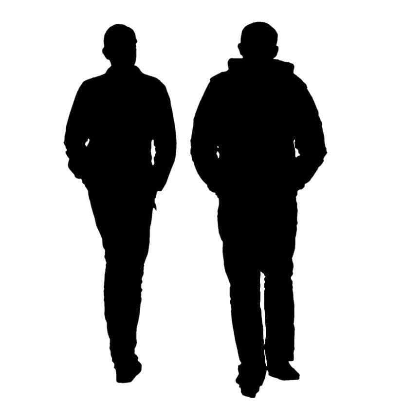 The Rule of Two (FS44)