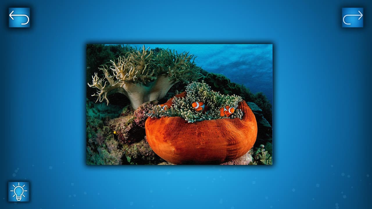 PUZZLE: OCEAN screenshot 4