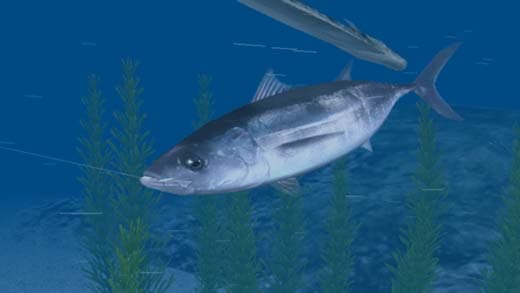 Reel Fishing Ocean Challenge screenshot 6