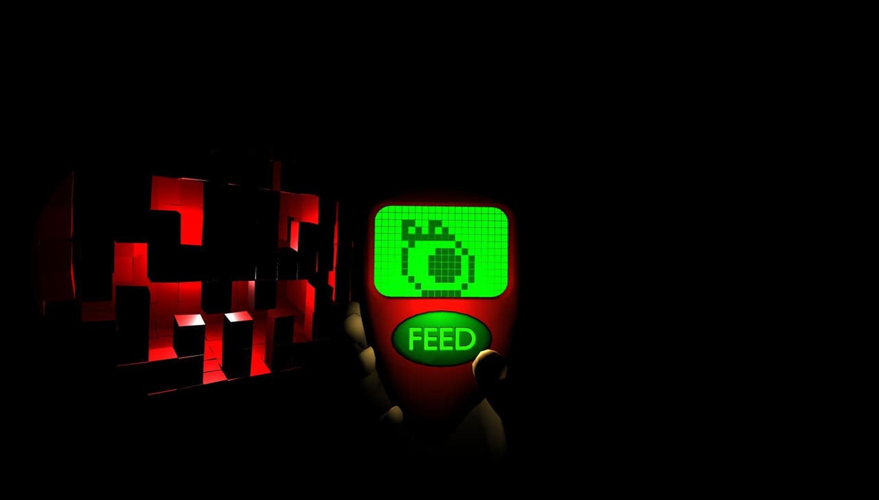 Feederz