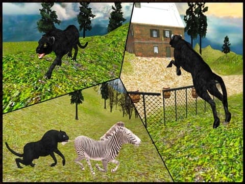 Wild Black Panther Attack Simulator 3D – Hunt the Zebra, Deer & Other Animal in Wildlife Safari screenshot 6