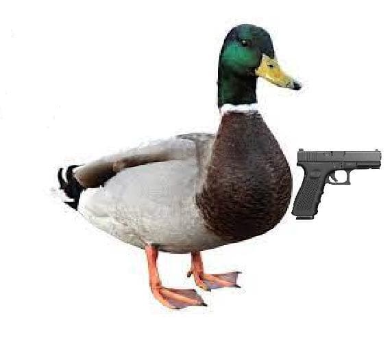 Duck Duck Bitch!