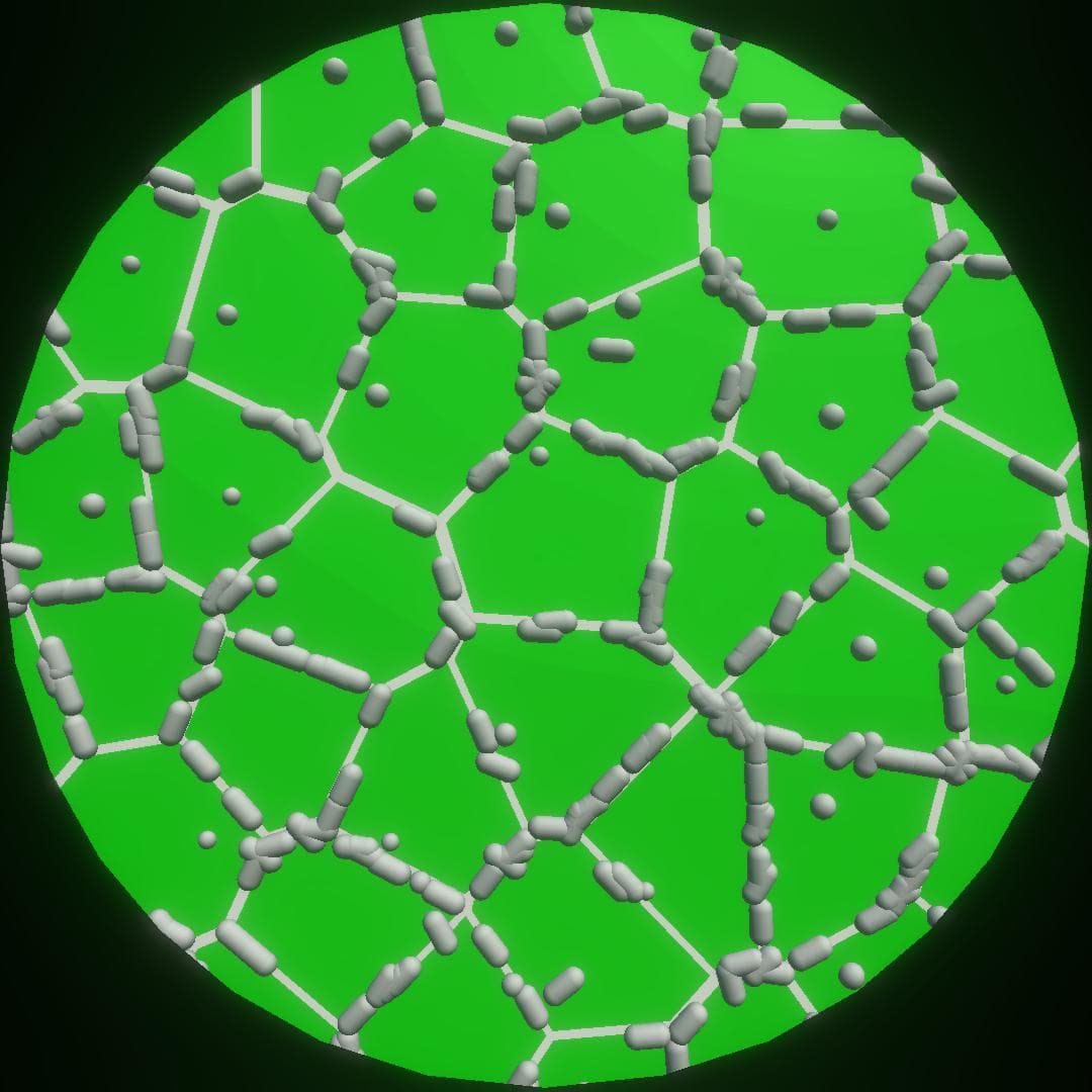 Microscope Simulation