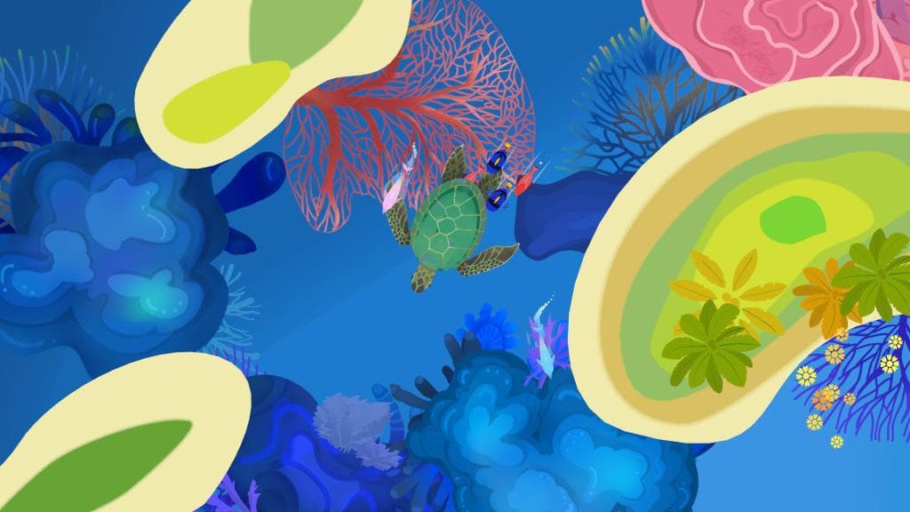 Delfini screenshot 2