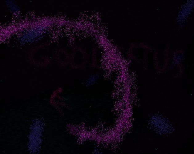 GODLEFTUS