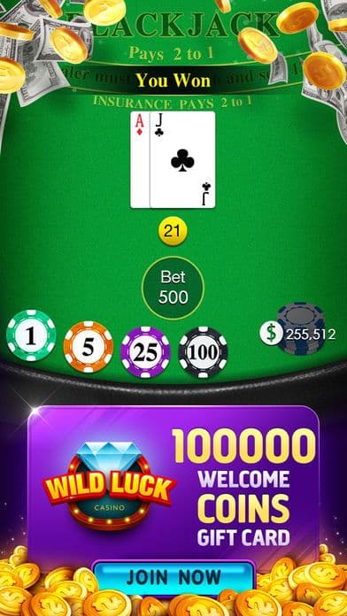 Blackjack 21⋆ Real Casino screenshot 3