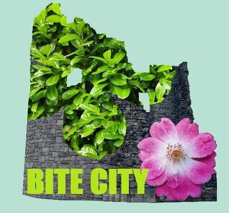 Bite City