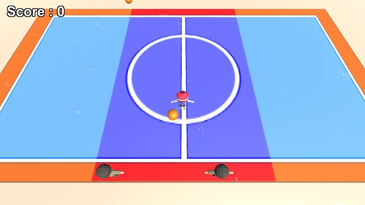 Dodgeball Survivor