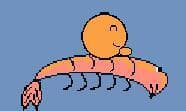 Shrimp Rider
