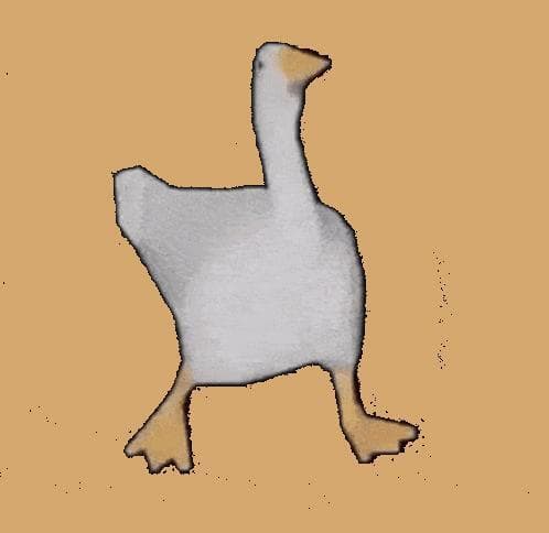 Goose.