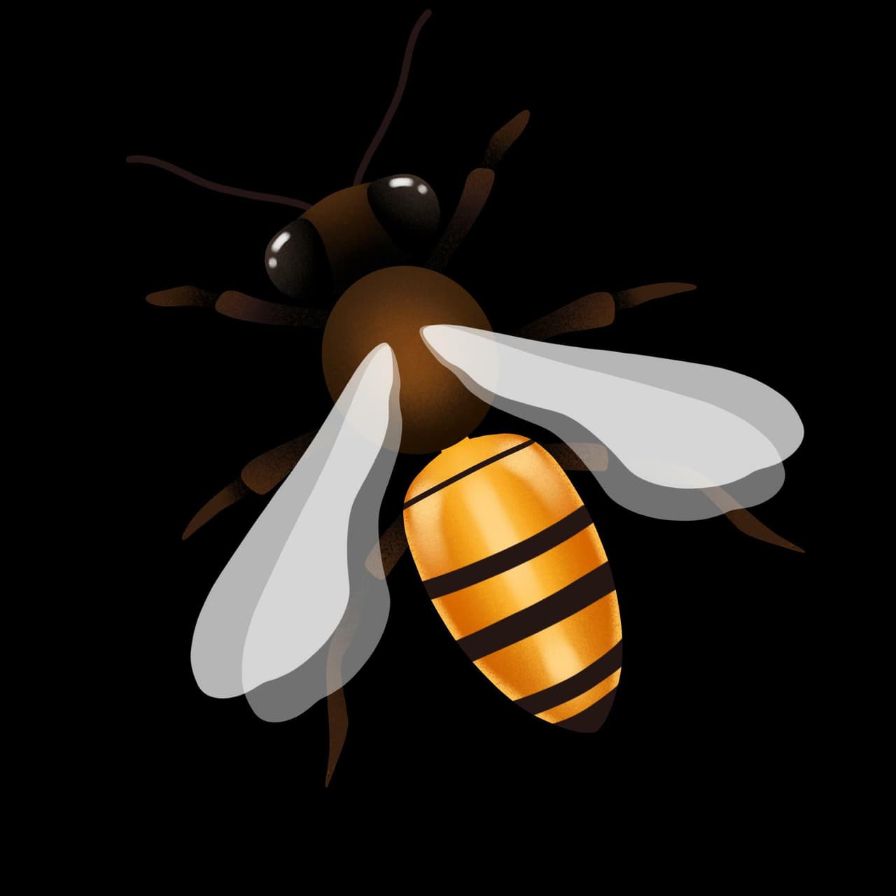 Bandit The Bee