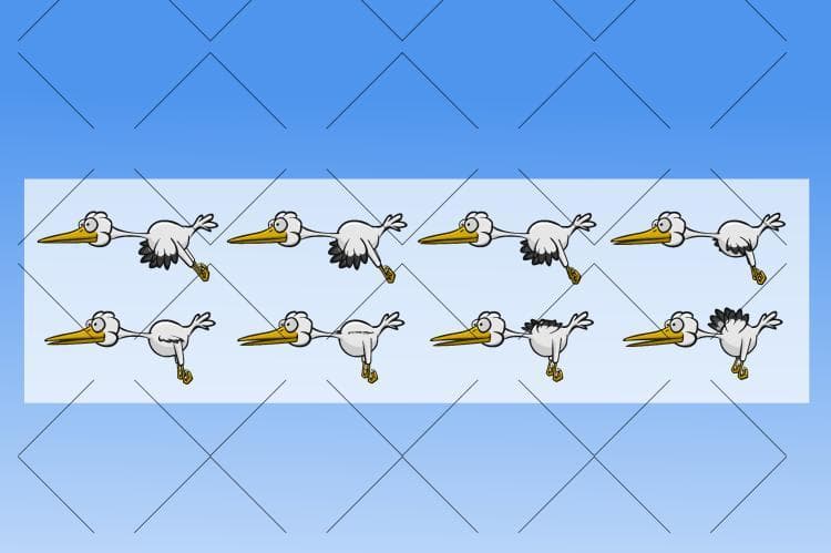 Stork