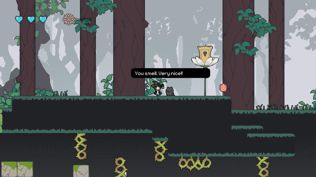 Evergreen screenshot 2