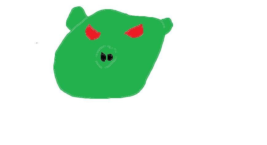pigs